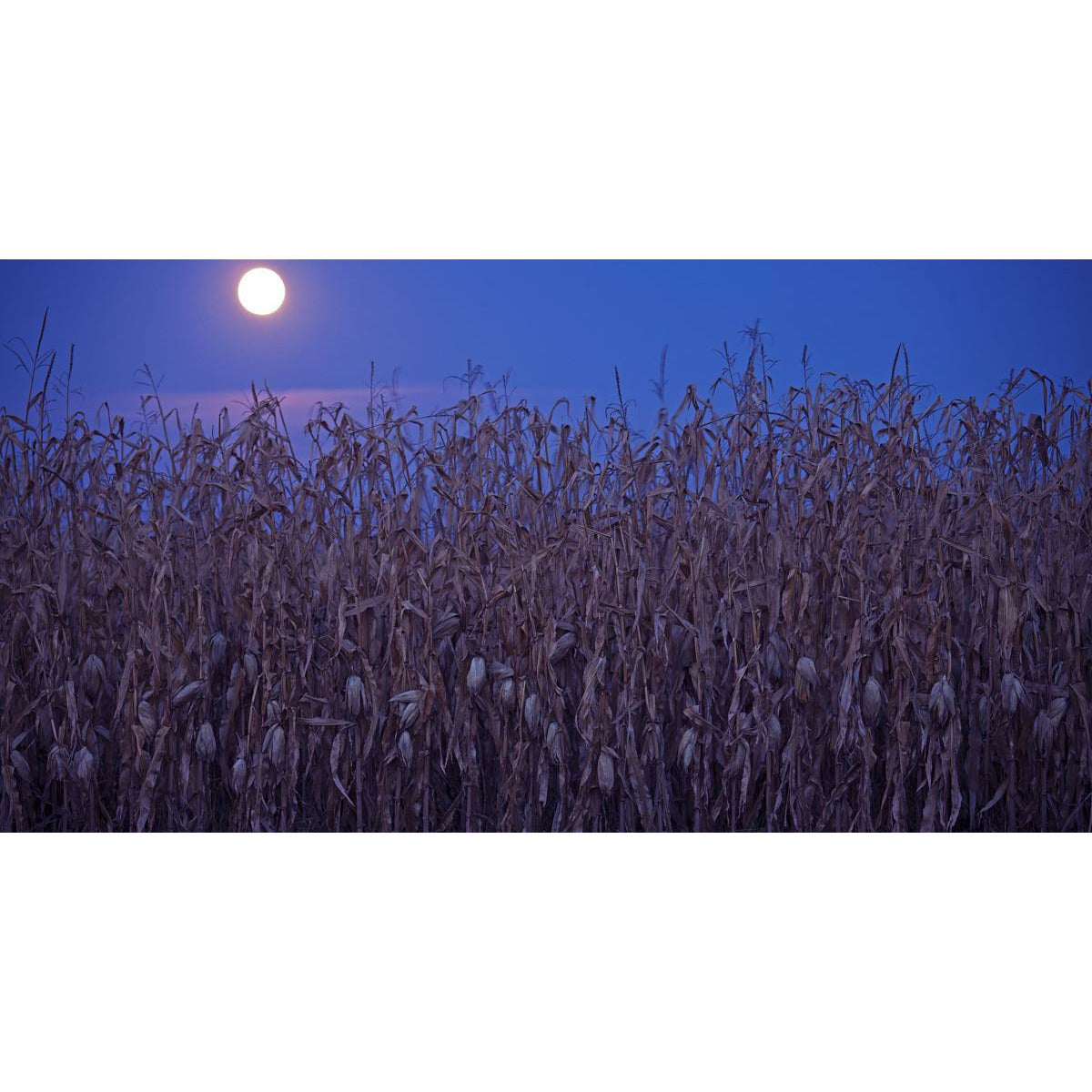 Harvest Moon Ritual
